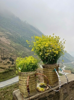 Xuôi đèo Mã Pí Lèng hùng vĩ về làng H'Mông Pả Vi làm gái bản cùng mình